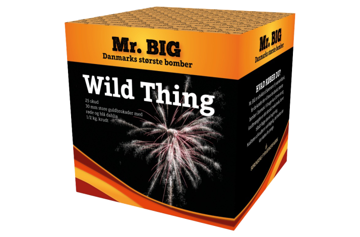 Mr.BIG. Wild Thing.  25 skud 30 mm store guldbrokader med r�de og bl� dahlia .
