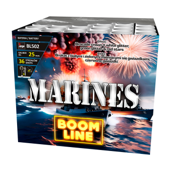 BL502 Marines