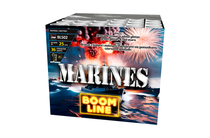BL502 Marines
