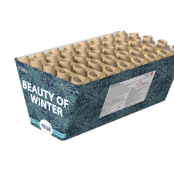 Beauty Of Winter Batteri