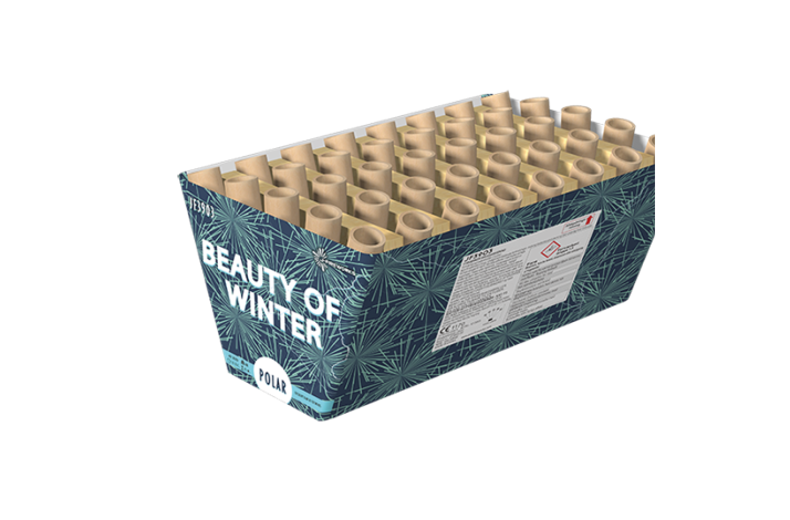 Beauty Of Winter Batteri