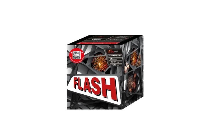 "NEW 2025 Battery  ""FLASH"""