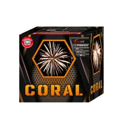 "NEW 2025 Battery  ""CORAL"""